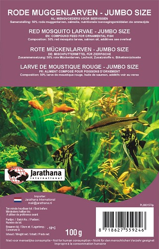 Bloodworm jumbo red frozen in blister pack